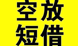 深圳22空放-深圳22个人借贷不查征信-深圳22短借私人